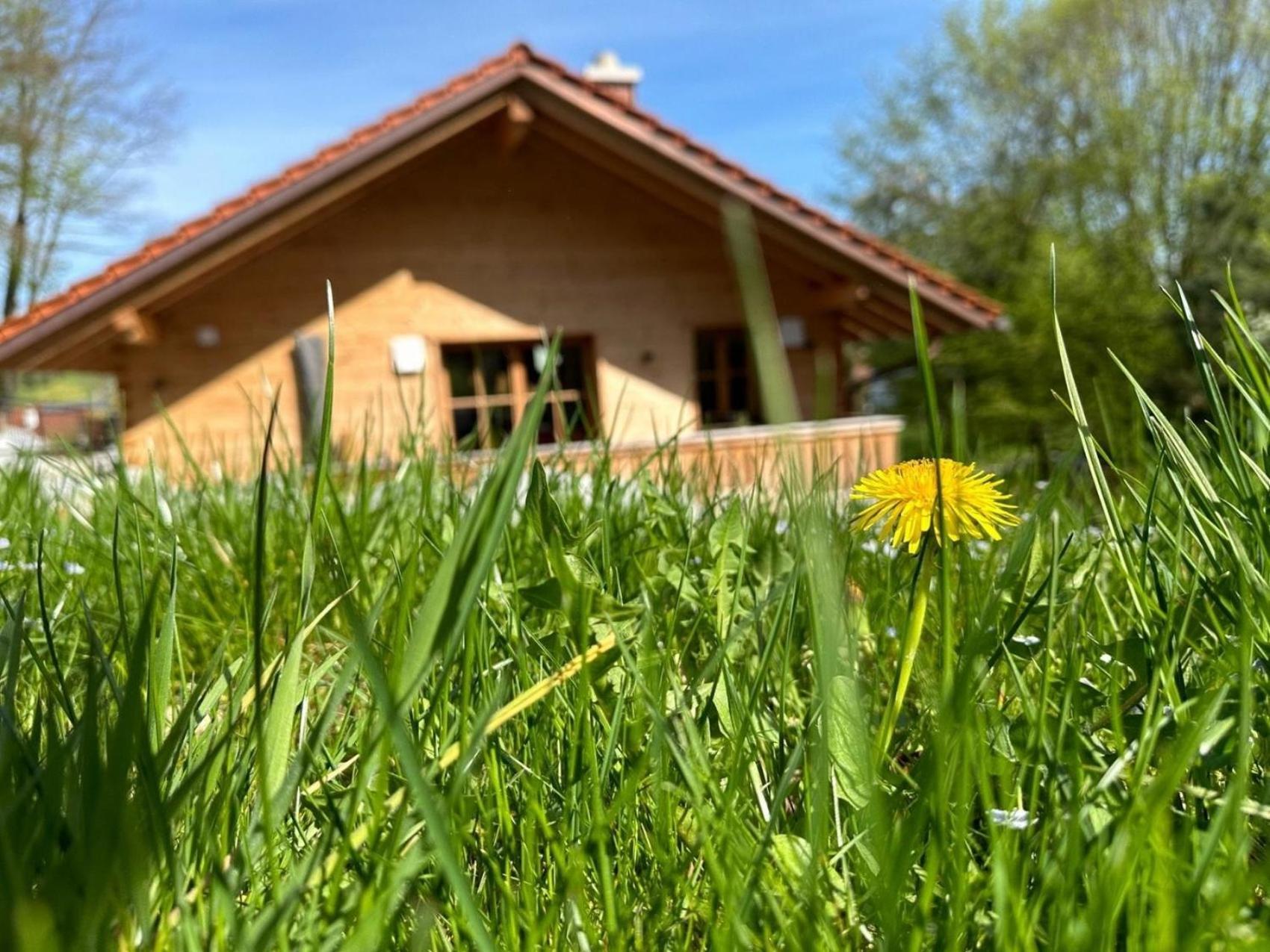 Chalet22 Beim Floesserhaus In Beuerberg Eurasburg ภายนอก รูปภาพ